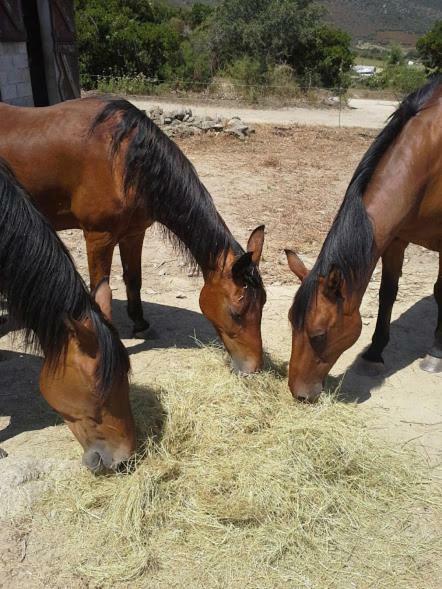 La Canardiere Casta Dış mekan fotoğraf